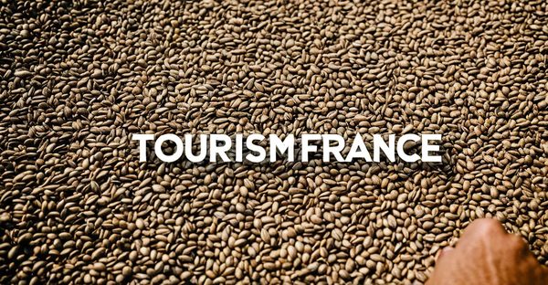 Découvrir la france : guide essentiel du tourisme en 2025